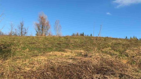 terreno edificabile in vendita a Gazzola