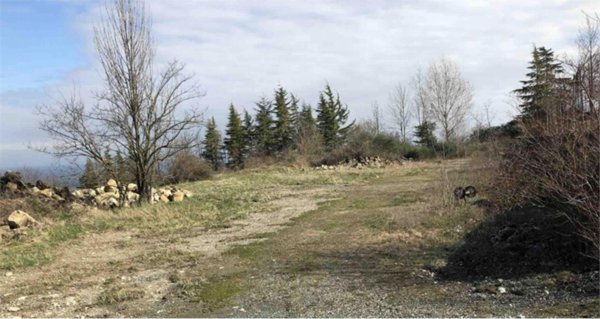 terreno edificabile in vendita a Gazzola