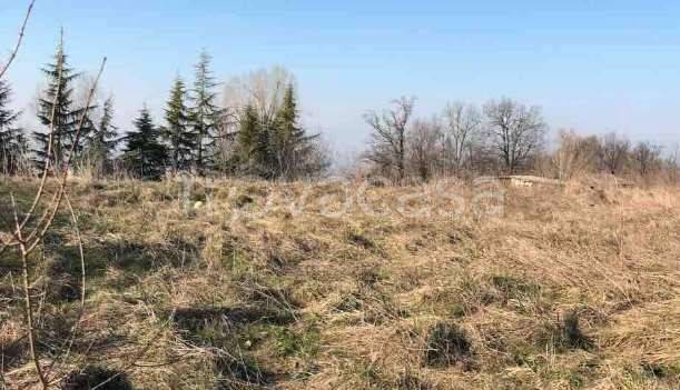 appartamento in vendita a Gazzola