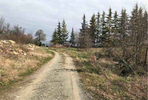 terreno edificabile in vendita a Gazzola