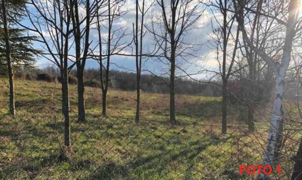terreno agricolo in vendita a Gazzola