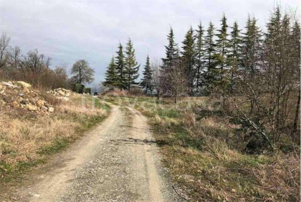 appartamento in vendita a Gazzola