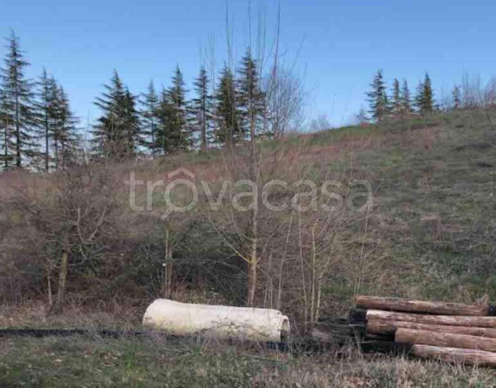 terreno edificabile in vendita a Gazzola