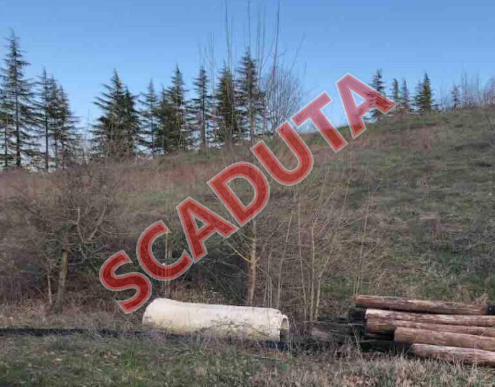 terreno edificabile in vendita a Gazzola