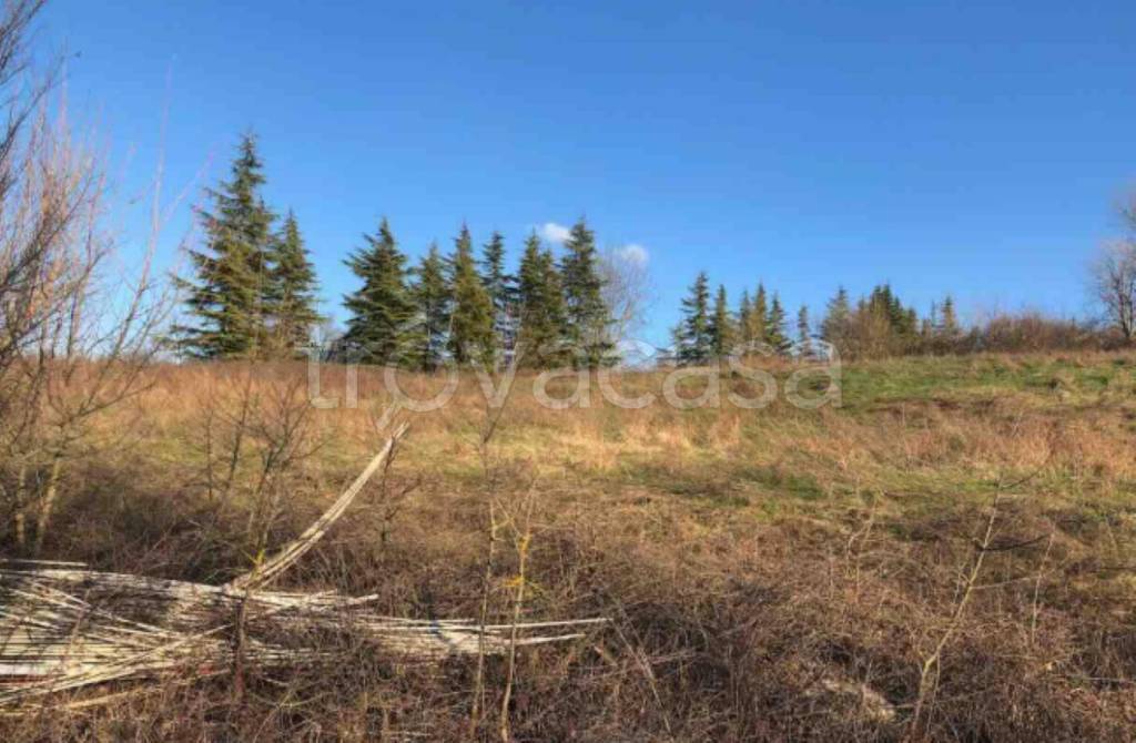 terreno edificabile in vendita a Gazzola