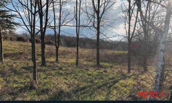 terreno edificabile in vendita a Gazzola