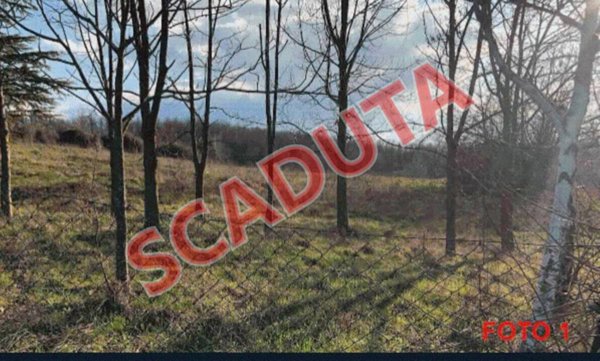 terreno edificabile in vendita a Gazzola