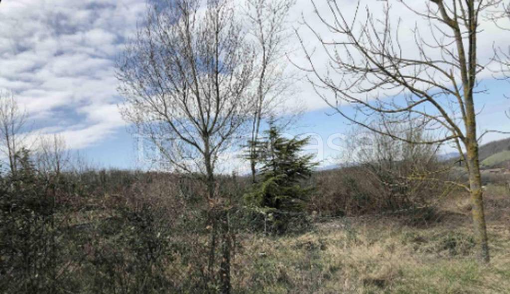 terreno edificabile in vendita a Gazzola