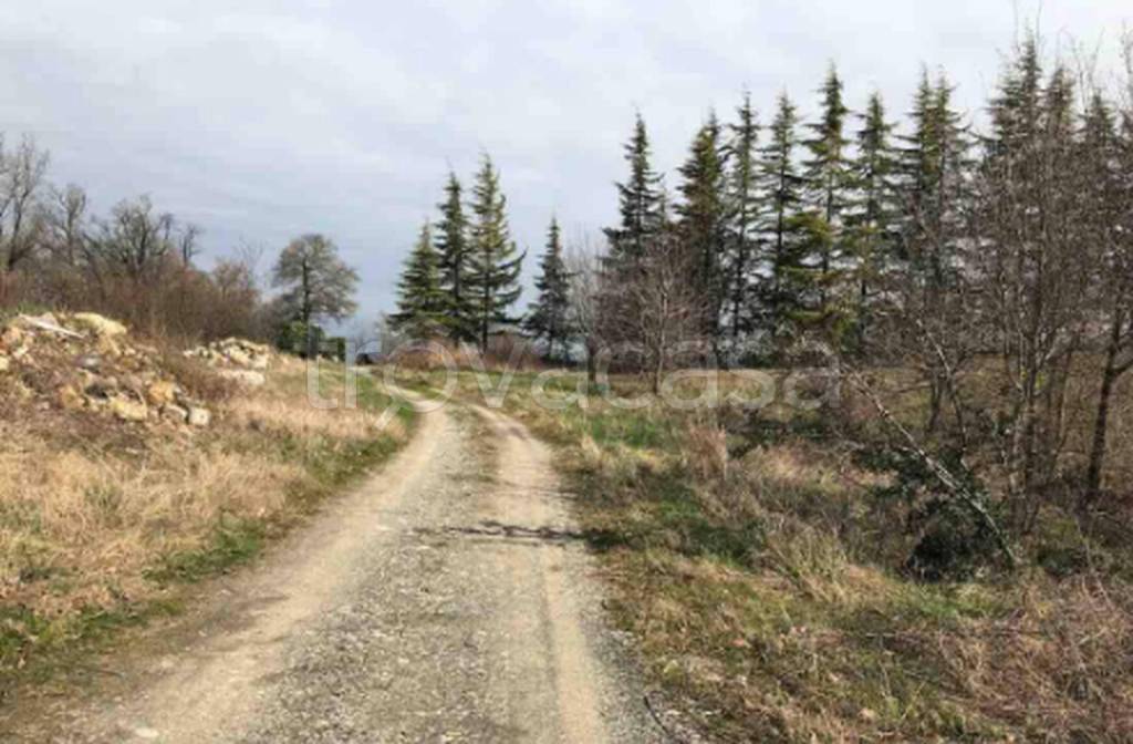 terreno edificabile in vendita a Gazzola