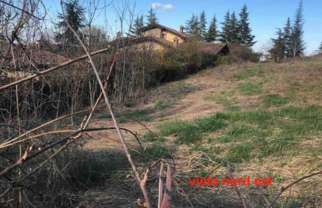 terreno agricolo in vendita a Gazzola
