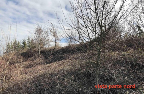 terreno edificabile in vendita a Gazzola