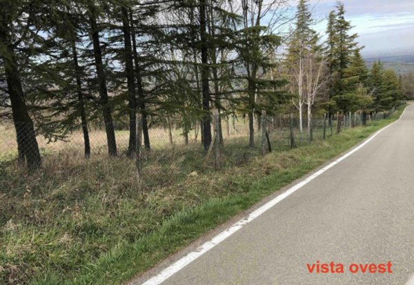 terreno edificabile in vendita a Gazzola