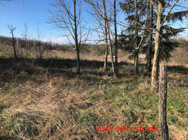 terreno edificabile in vendita a Gazzola