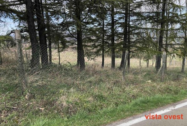 terreno edificabile in vendita a Gazzola