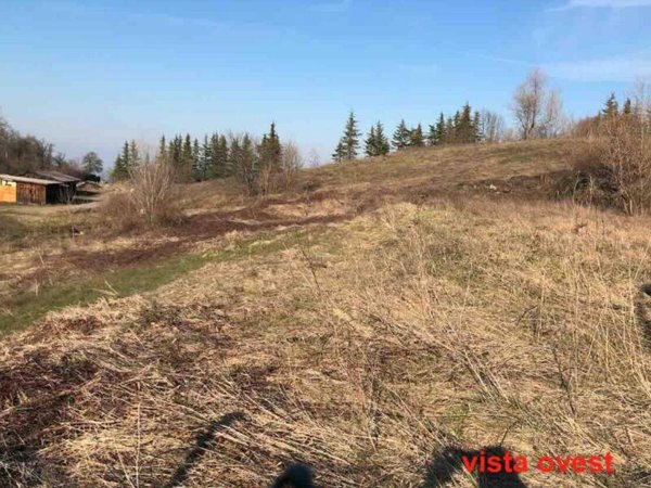 terreno agricolo in vendita a Gazzola