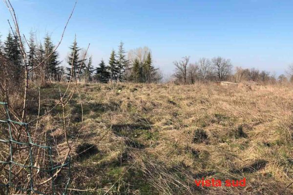 terreno agricolo in vendita a Gazzola