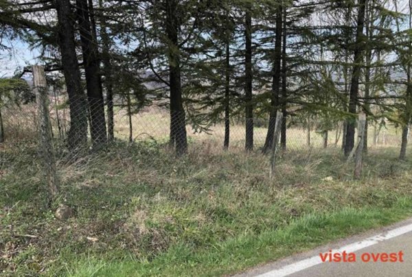 appartamento in vendita a Gazzola