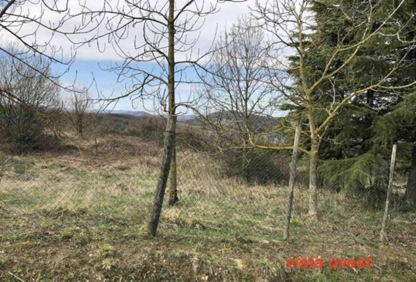 appartamento in vendita a Gazzola