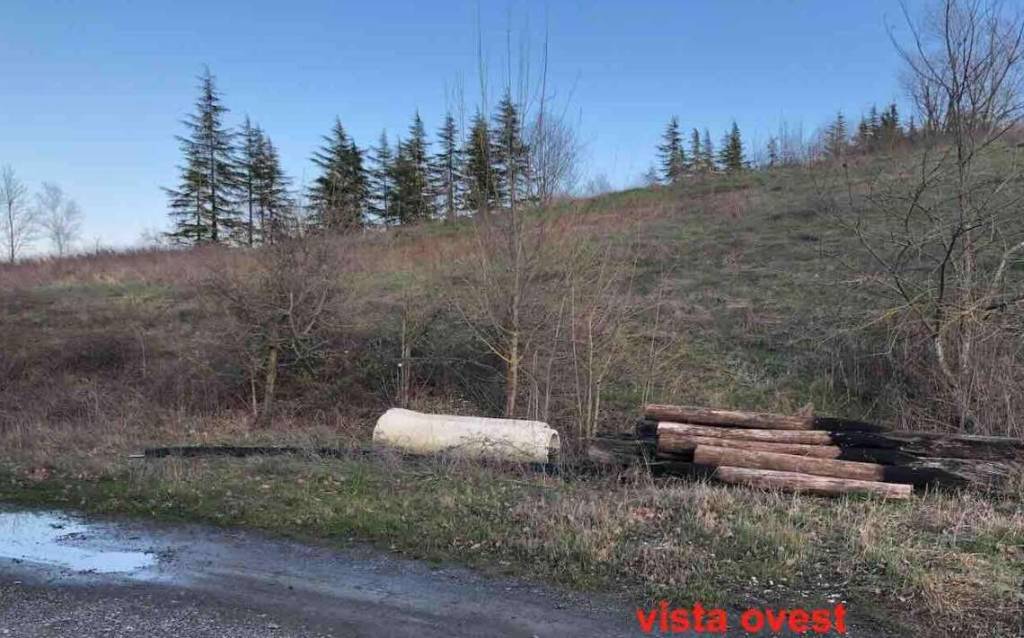 appartamento in vendita a Gazzola