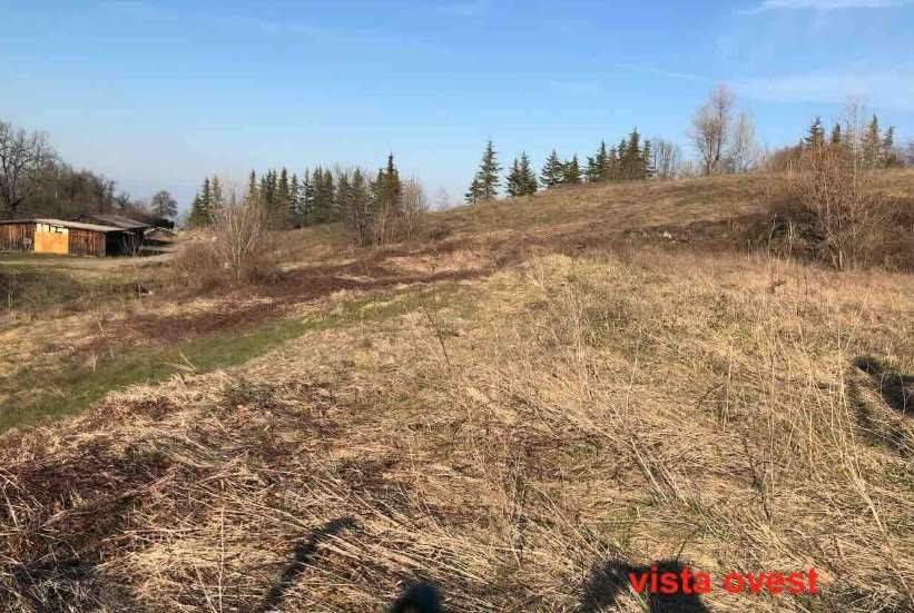 appartamento in vendita a Gazzola