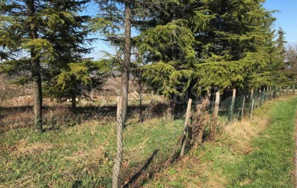 terreno edificabile in vendita a Gazzola