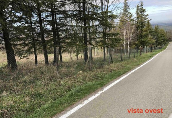 terreno edificabile in vendita a Gazzola