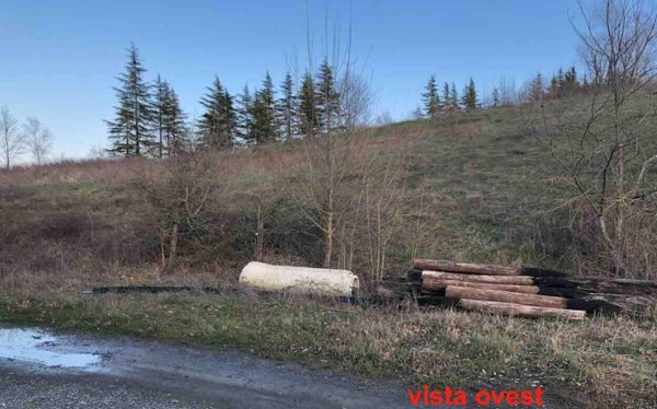 terreno edificabile in vendita a Gazzola