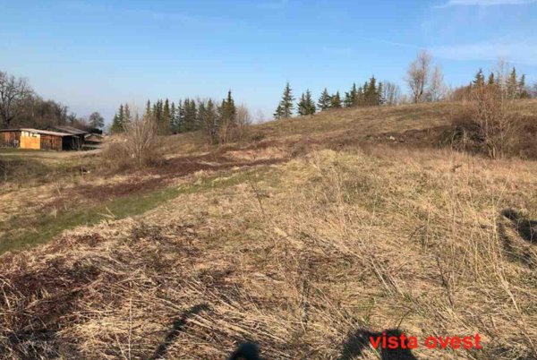 terreno agricolo in vendita a Gazzola