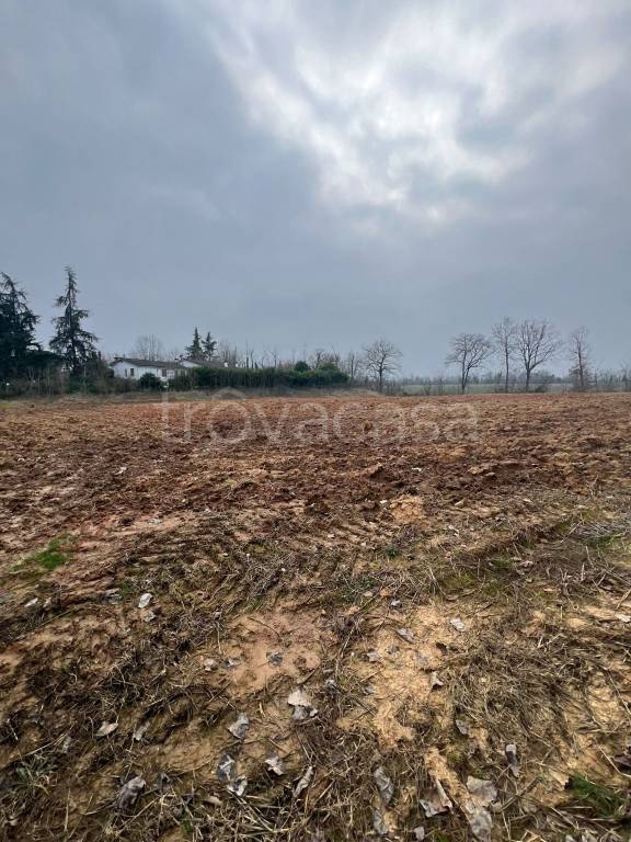 terreno agricolo in vendita a Gazzola in zona Rivalta