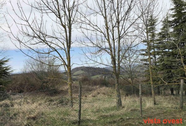 terreno edificabile in vendita a Gazzola