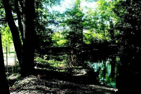 casa indipendente in vendita a Gossolengo in zona Rossia