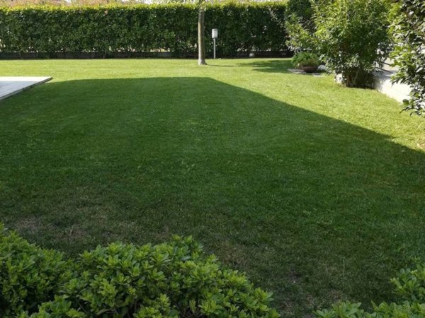 casa indipendente in vendita a Gossolengo