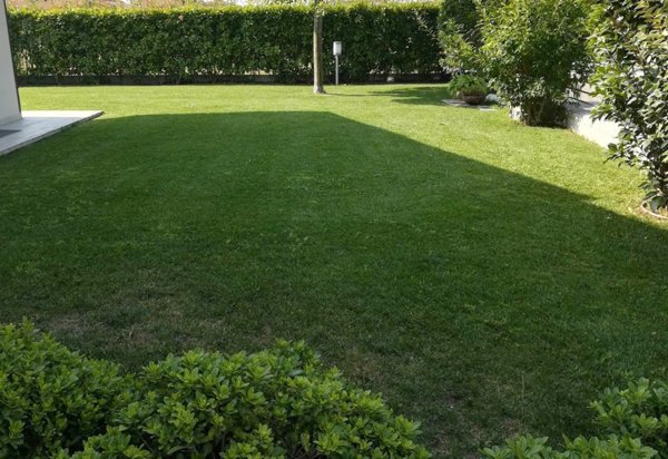 casa indipendente in vendita a Gossolengo