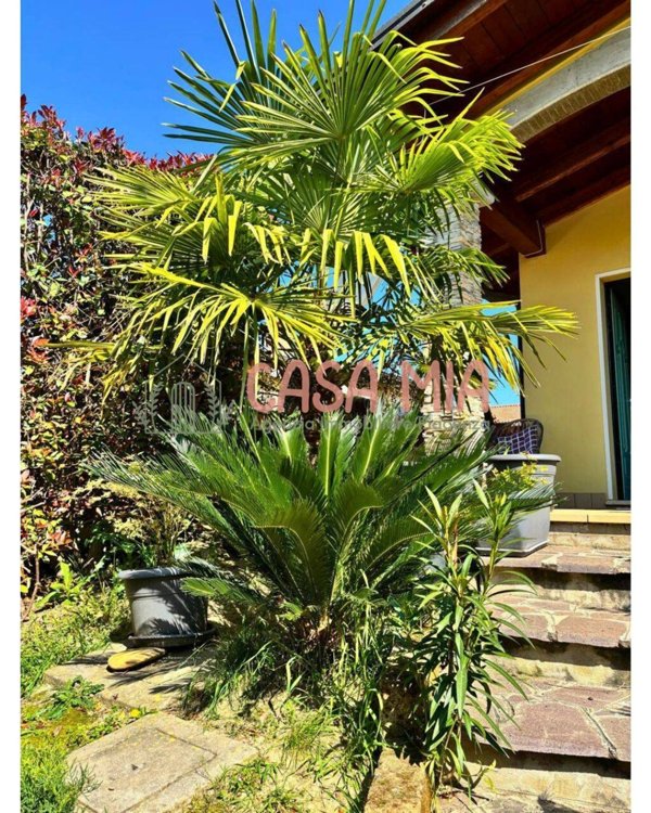 casa indipendente in vendita a Gossolengo in zona Settima