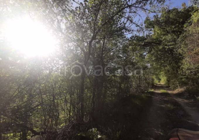 terreno agricolo in vendita a Gragnano Trebbiense