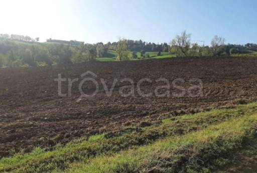 terreno agricolo in vendita a Gragnano Trebbiense