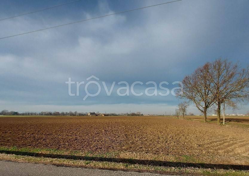 terreno agricolo in vendita a Gragnano Trebbiense in zona Gragnanino
