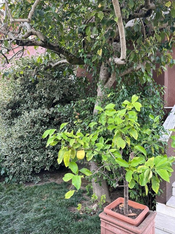 casa indipendente in vendita a Gragnano Trebbiense