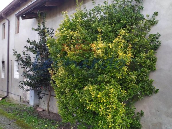 casa indipendente in vendita a Gragnano Trebbiense in zona Casaliggio