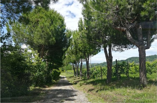 appartamento in vendita a Gropparello in zona Sariano