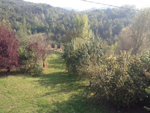 casa indipendente in vendita a Gropparello