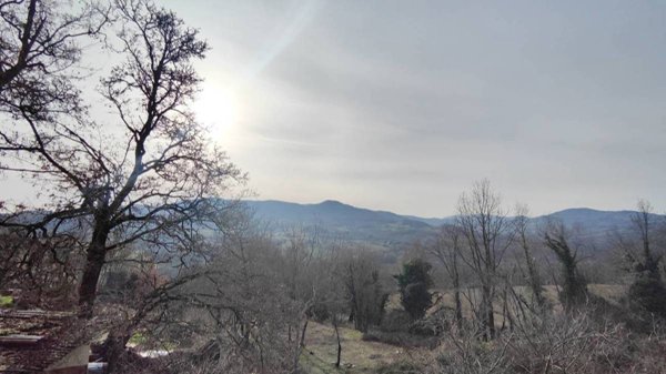 casa indipendente in vendita a Gropparello