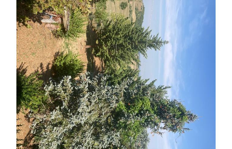 appartamento in vendita a Gropparello in zona Gusano