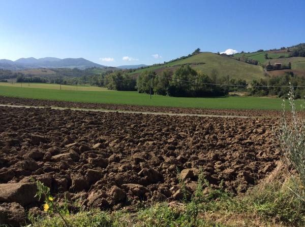terreno agricolo in vendita a Lugagnano Val d'Arda