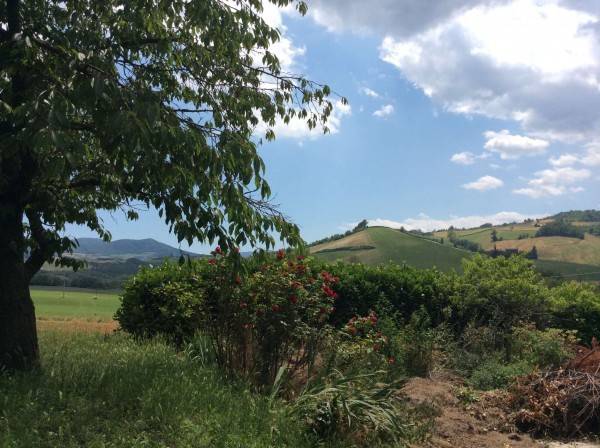 terreno agricolo in vendita a Lugagnano Val d'Arda