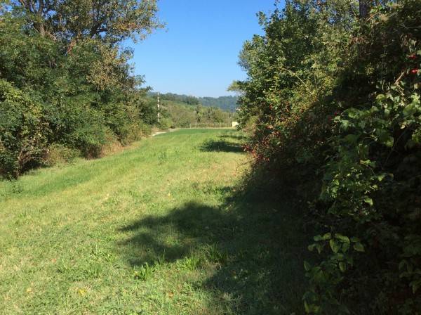 terreno agricolo in vendita a Lugagnano Val d'Arda