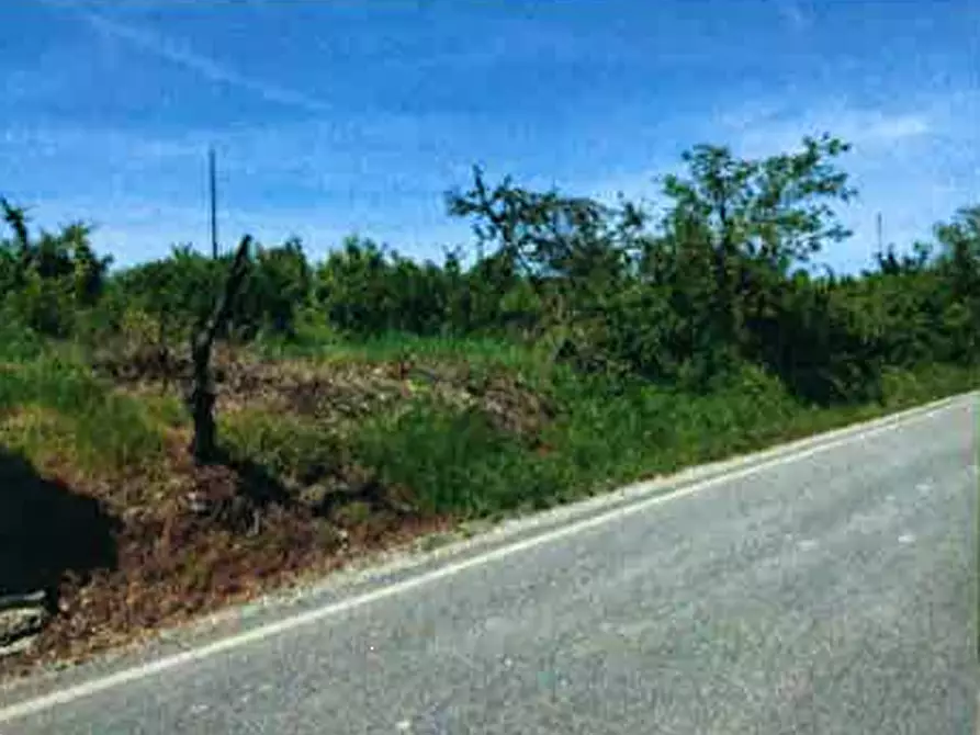 terreno edificabile in vendita a Lugagnano Val d'Arda