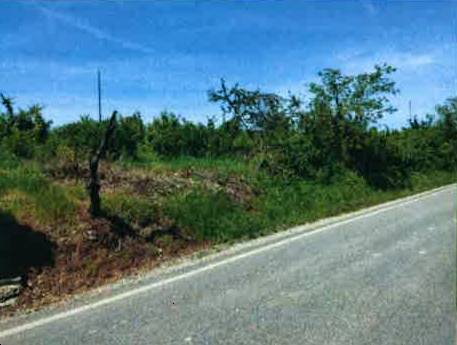 terreno edificabile in vendita a Lugagnano Val d'Arda
