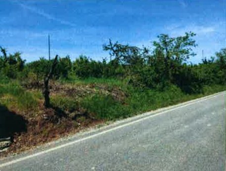 terreno edificabile in vendita a Lugagnano Val d'Arda