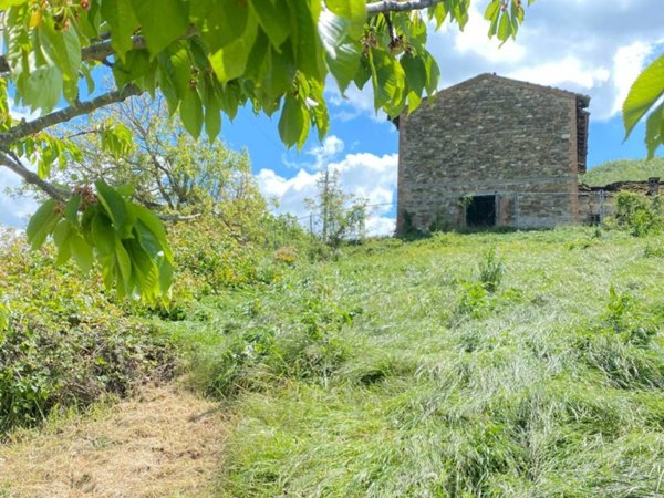 azienda agricola in vendita a Lugagnano Val d'Arda